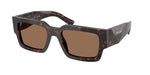 17N06B - Root Tortoise / Dark Brown