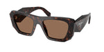 17N06B - Root Tortoise / Dark Brown