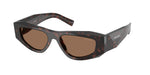 17N06B - Root Tortoise / Dark Brown