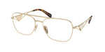 ZVN1O1 - Pale Gold / Demo Lens