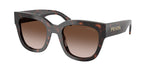17N80A - Root Tortoise / Brown Gradient