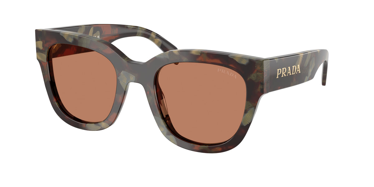 22F90Q - Woods Tortoise / Brown