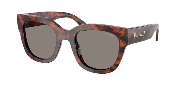 23F80Q - Amaranth Tortoise / Dark Grey