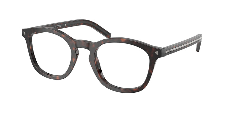 17N1O1 - Root Tortoise / Demo Lens