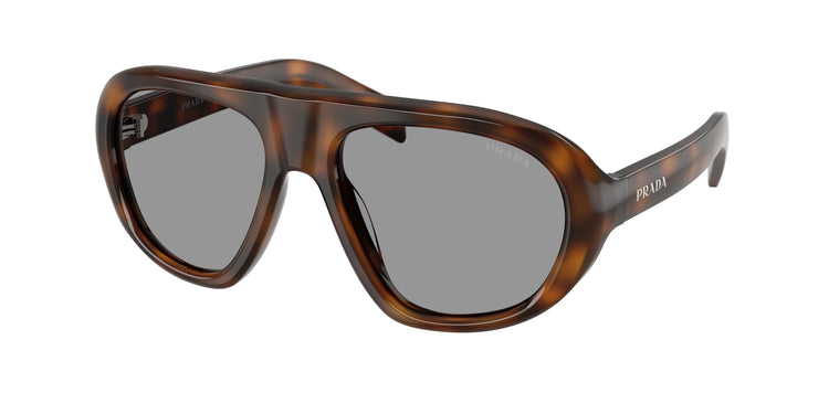 20D50Q - Juniper Tortoise / Grey
