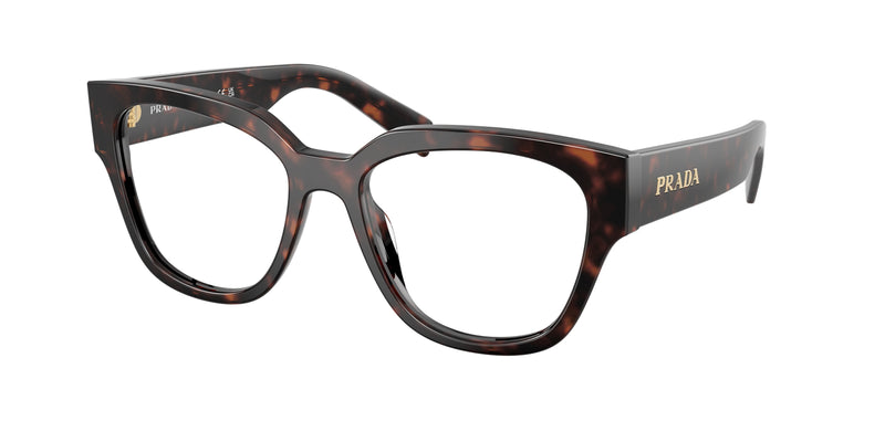 17N1O1 - Root Tortoise / Demo Lens