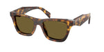 14L09Z - Honey Tortoise / Dark Brown