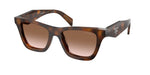20D90P - Juniper Tortoise / Brown Gradient