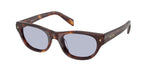 15W30X - Classic Tortoise / Blue