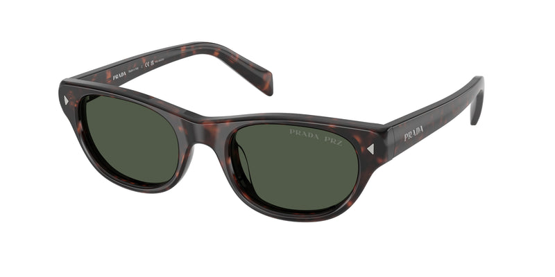 17N90V - Havana / Dark Grey Polarized