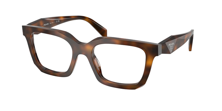 20D1O1 - Juniper Tortoise / Demo Lens