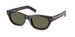 17N03R - Havana / Green Polarized