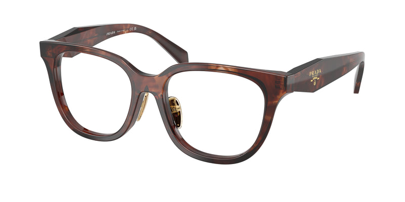14P1O1 - Caramel Tortoise / Demo Lens