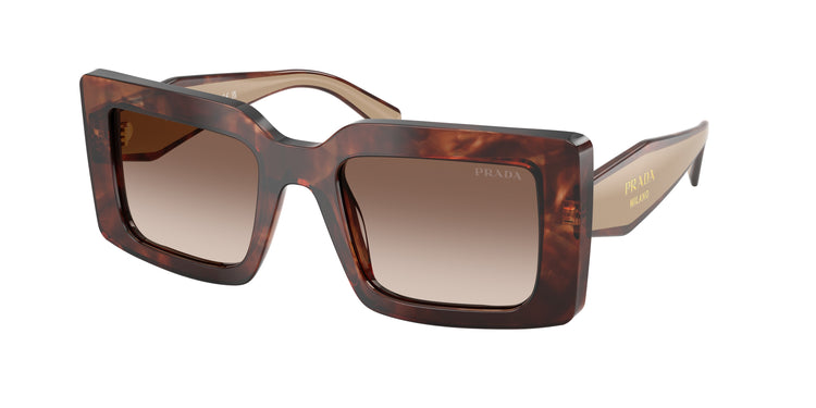 00K10S - Caramel Tortoise / Brown Gradient