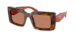 01K90Q - Juniper Tortoise/Cotto / Brown