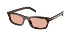 17N50W - Root Tortoise / Pink