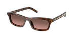 20D11C - Juniper Tortoise / Brown Gradient Grey