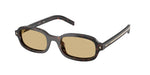 17N70R - Root Tortoise / Light Brown