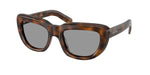 20D50Q - Juniper Tortoise / Grey