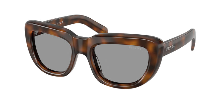 20D50Q - Juniper Tortoise / Grey