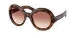 20D70X - Juniper Tortoise / Light Brown Gradient Bordeaux