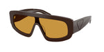 27I50P - Cigar / Dark Honey