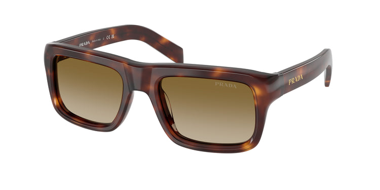 15W20U - Classic Tortoise / Brown Gradient