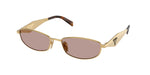 5AK20I - Gold / Light Purple Brown