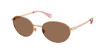 942773 - Rose Gold / Brown