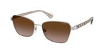 949213 - Shiny Silver / Gradient Brown