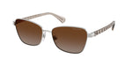 9492T5 - Shiny Silver / Gradient Brown