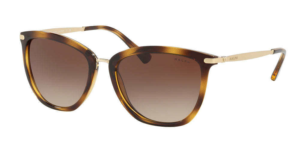 500313 - Shiny Dark Havana / Gradient Brown
