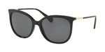 500181 - Shiny Black / Polarized Dark Grey