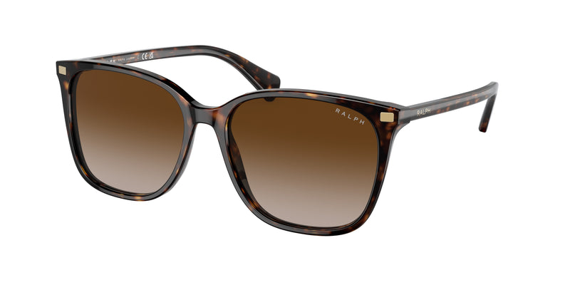 50033B - Shiny Dark Havana / Gradient Brown