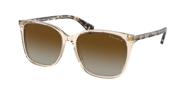 6072T5 - Shiny Transparent Brown / Polarized Gradient Brown