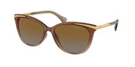 6133T5 - Transparent Light Brown / Polar Gradient Brown