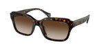 500313 - Shiny Dark Havana / Gradient Brown