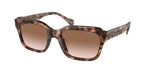 605813 - Shiny Pink Havana / Gradient Brown