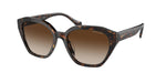 500313 - Shiny Dark Havana / Gradient Brown