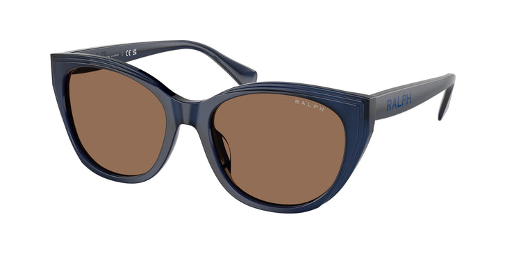 605973 - Shiny Transparent Opalescent Blue / Brown