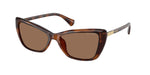 614973 - Shiny Dark Havana / Brown