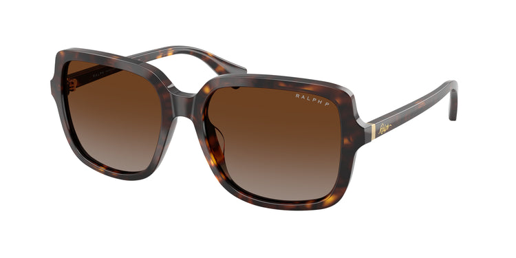 5003T5 - Shiny Dark Havana / Polarized Brown Gradient