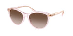 604313 - Shiny Transparent Pink / Gradient Brown