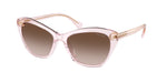 604313 - Shiny Transparent Pink / Gradient Brown