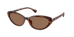 614913 - Shiny Dark Havana / Brown