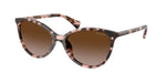 605813 - Pink Havana / Gradient Brown