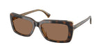 629473 - Dark Havana On Transparent / Brown