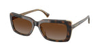 6294T5 - Tortoise / Brown Gradient Polarized