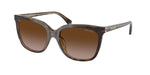 629413 - Dark Havana On Transparent / Gradient Brown
