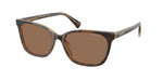 629473 - Tortoise/Transparent / Brown